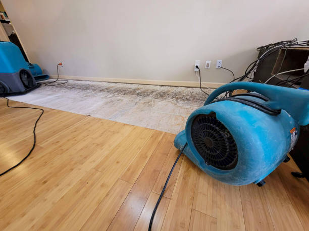 Professional Water Removal technician working in Saint Albans, NY